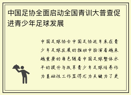 中国足协全面启动全国青训大普查促进青少年足球发展